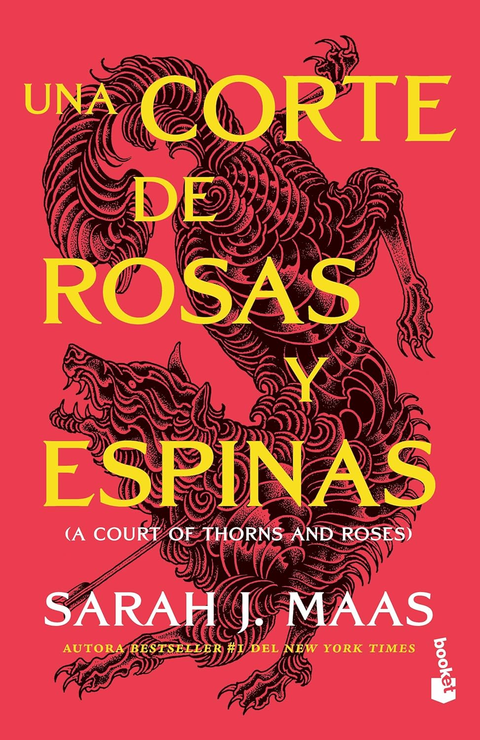 Portada de Una corte de llamas plateadas