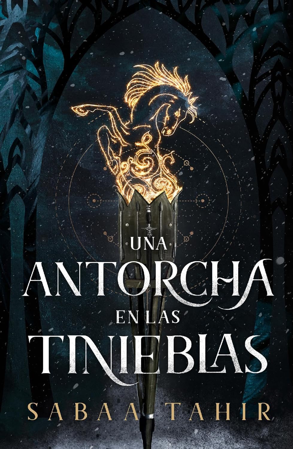 Portada de Una antorcha en las tinieblas