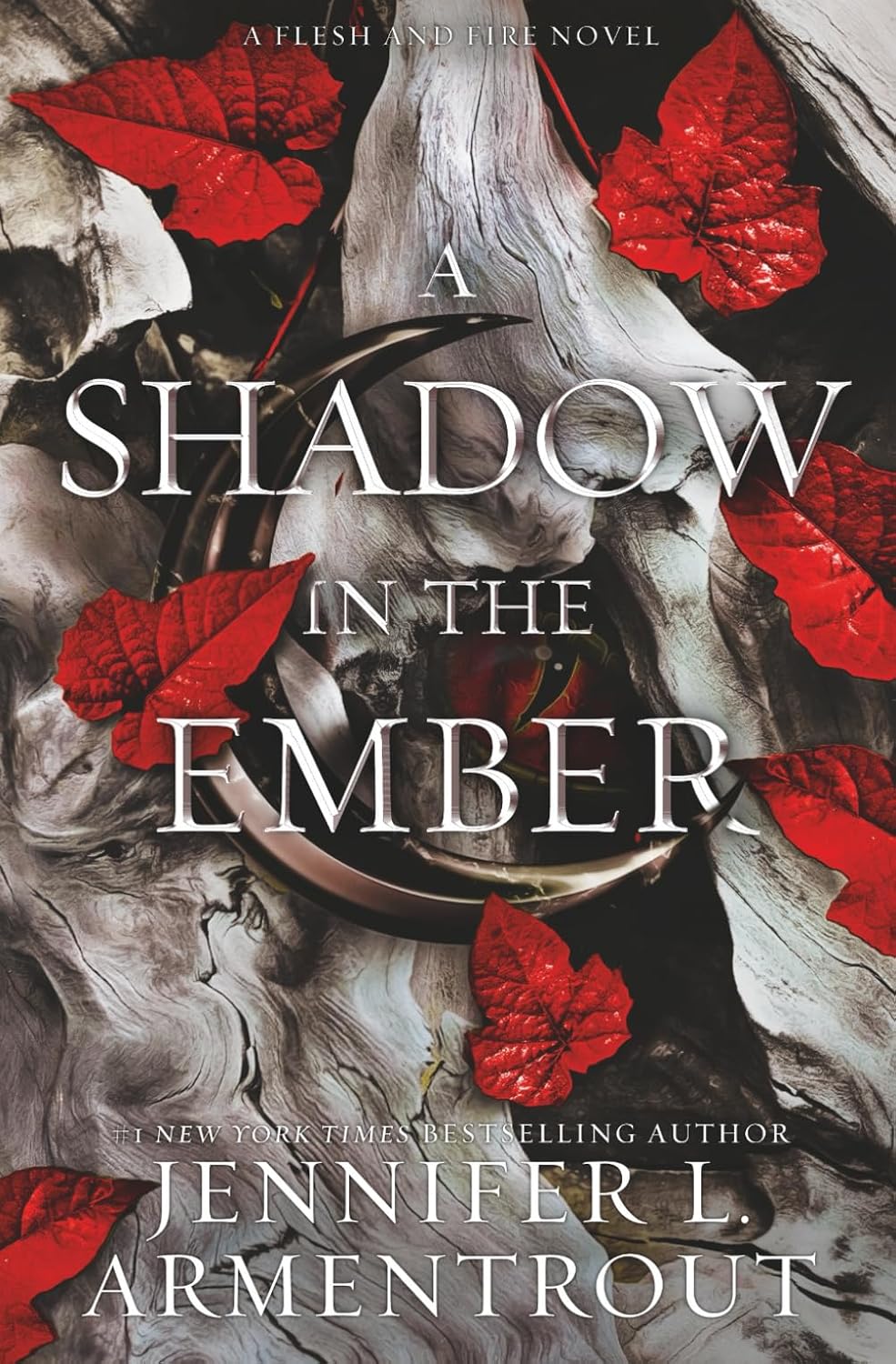 A Shadow in the Ember cover
