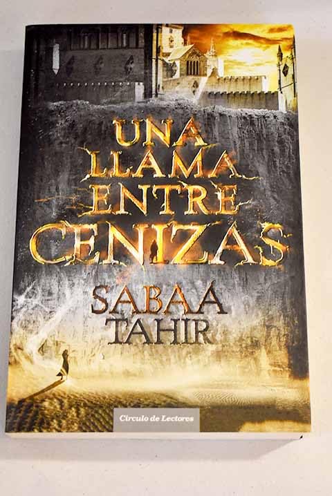 Portada de Un cielo más allá de la tormenta
