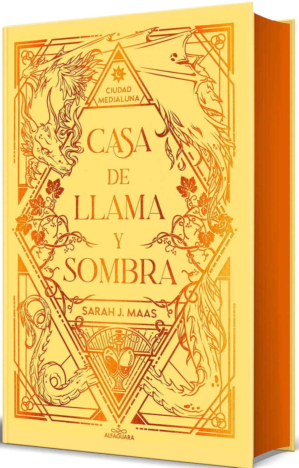 Portada de Casa de llamas y sombra