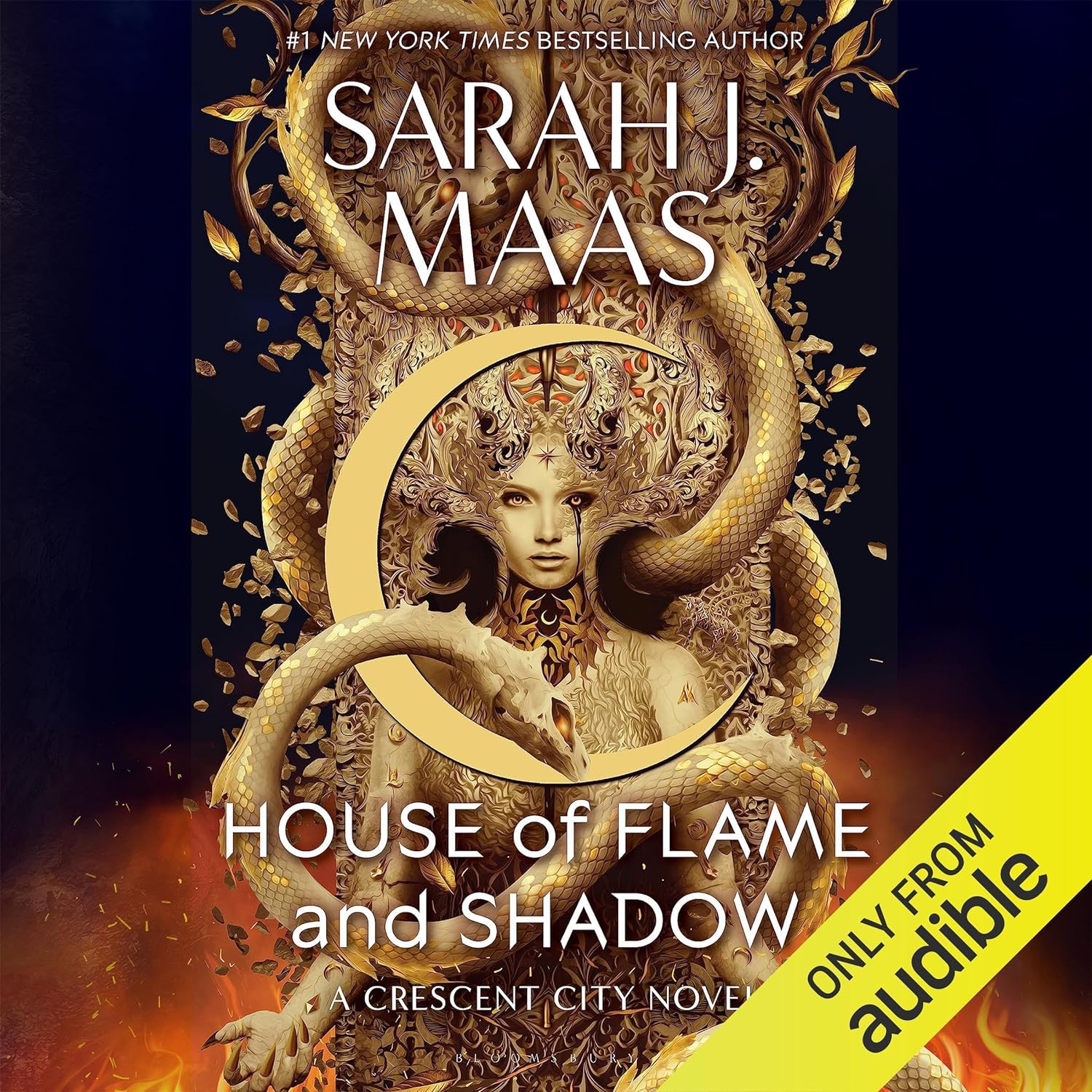 House of Flame and Shadow cover